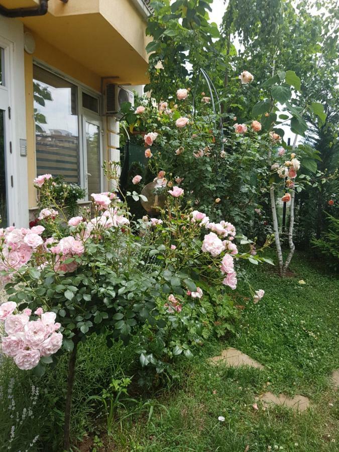 Guesthouse Zanier Несебър Екстериор снимка